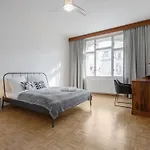 Bright And Spacious Attic