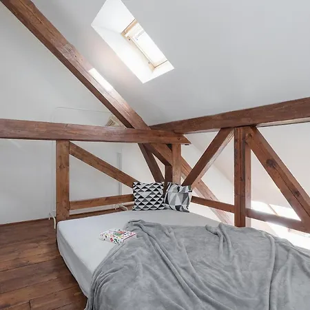 Bright And Spacious Attic Apartamento Praga