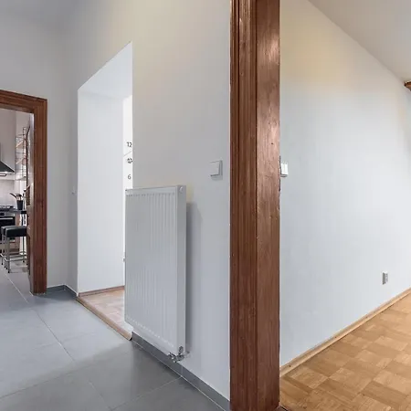Bright And Spacious Attic * Prag